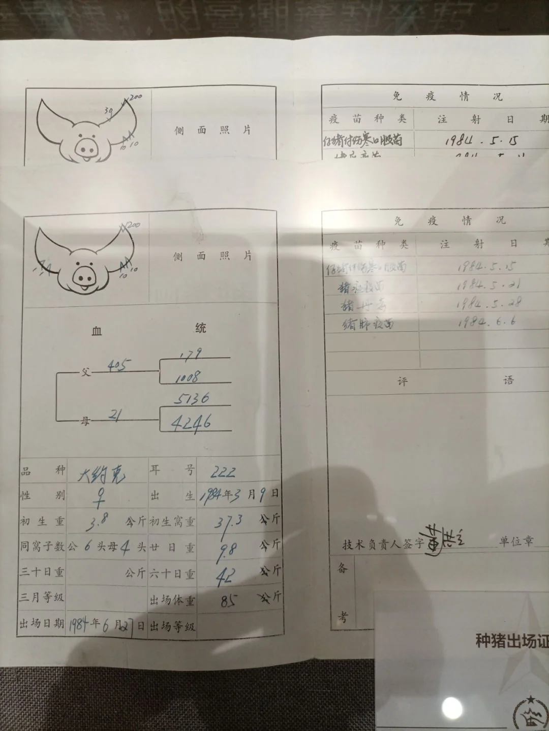 11.1.64