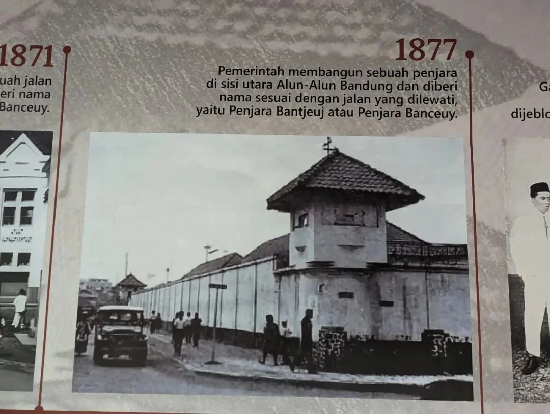 11.8.64