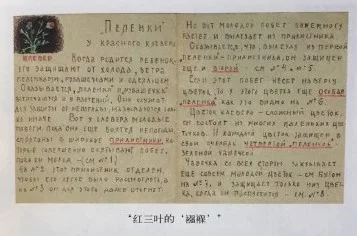 p4.4.20