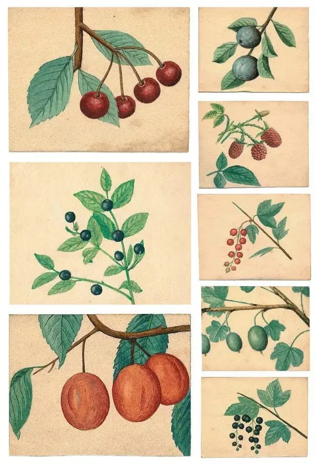 p4.4.4