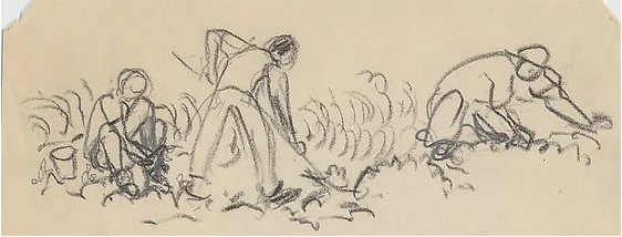 p8.16.29