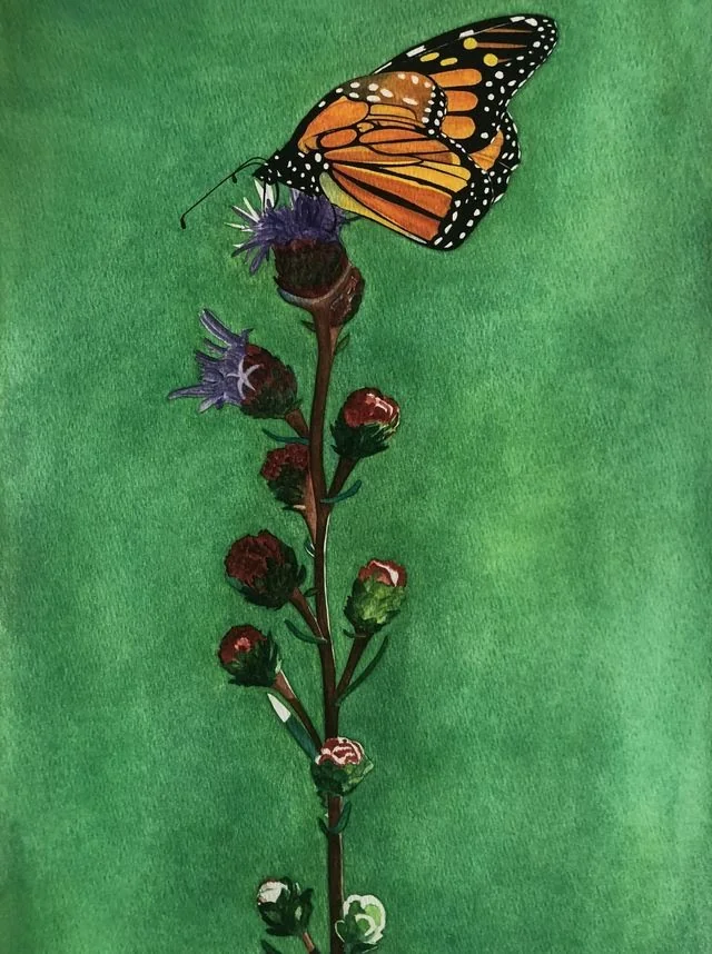 p8.21.2